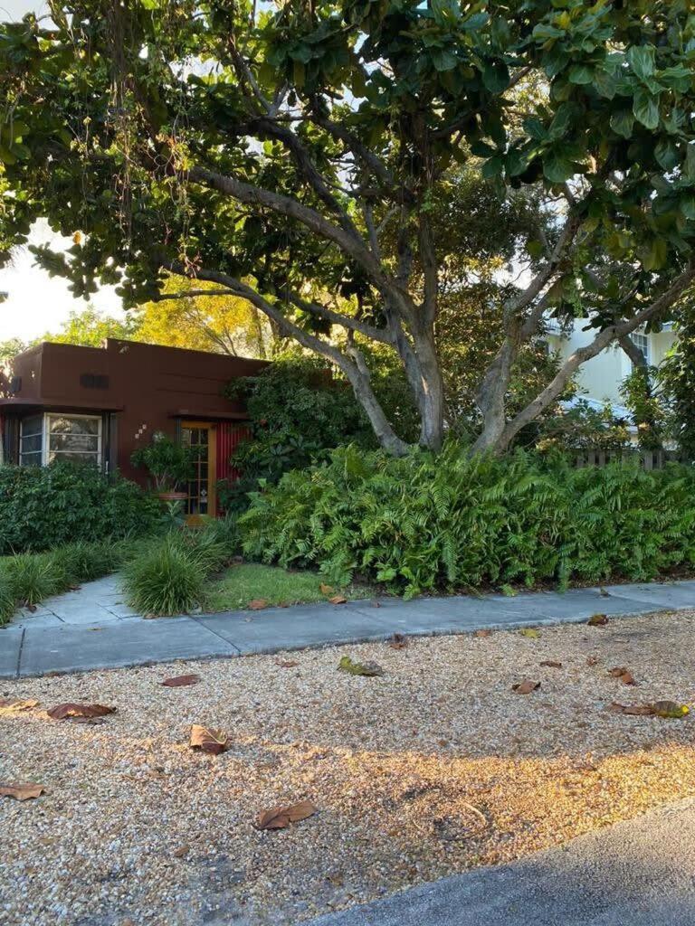 Delight And Cozy Apt Close To Las Olas & The Beach Fort Lauderdale Exteriér fotografie