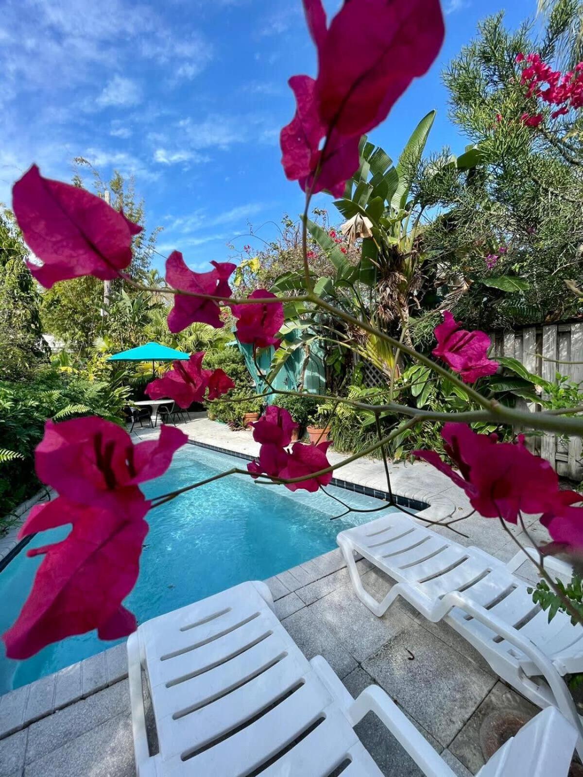 Vila Delight And Cozy Apt Close To Las Olas & The Beach Fort Lauderdale Exteriér fotografie